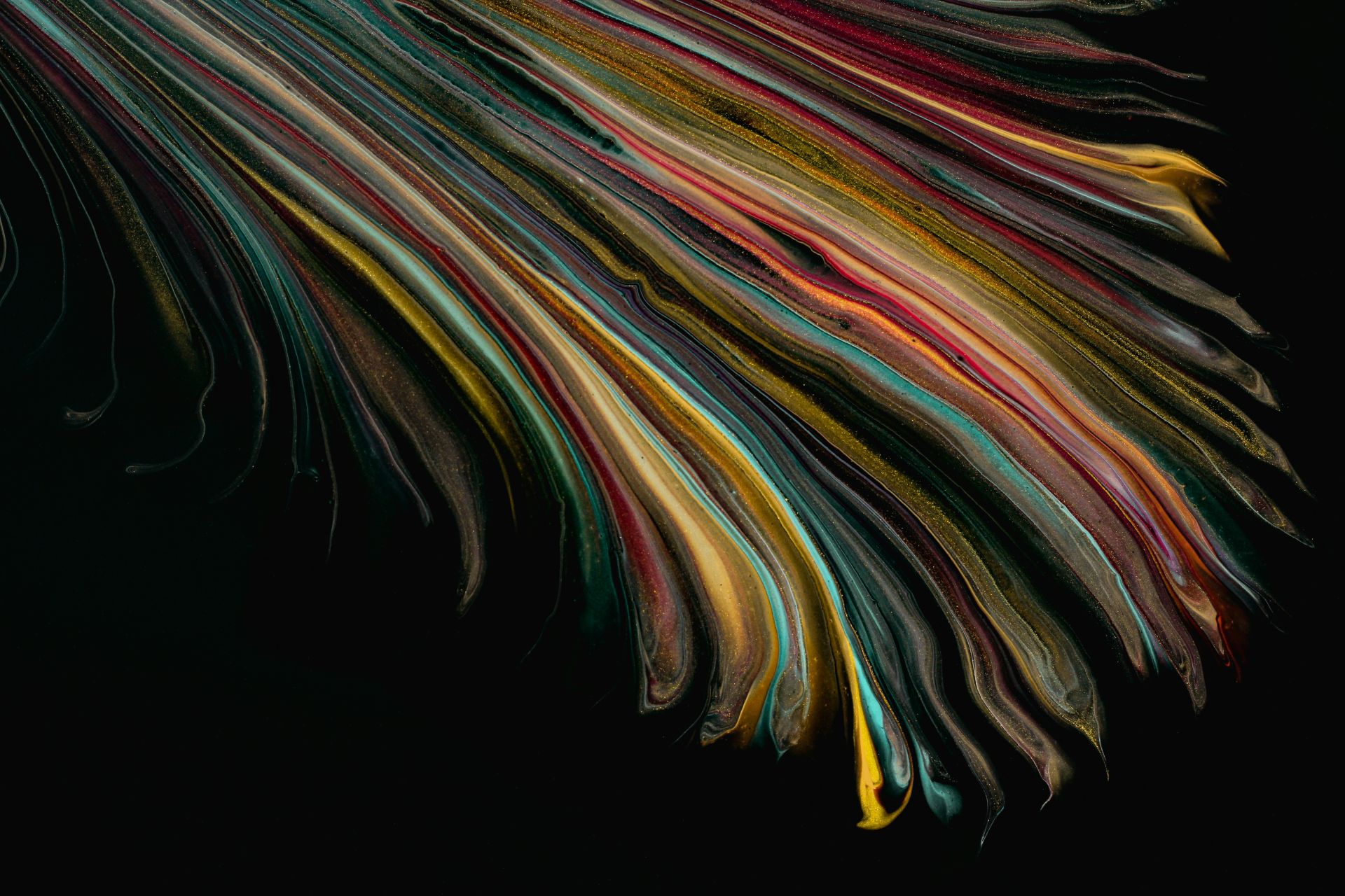 Le cabinet accueille une nouvelle recrue