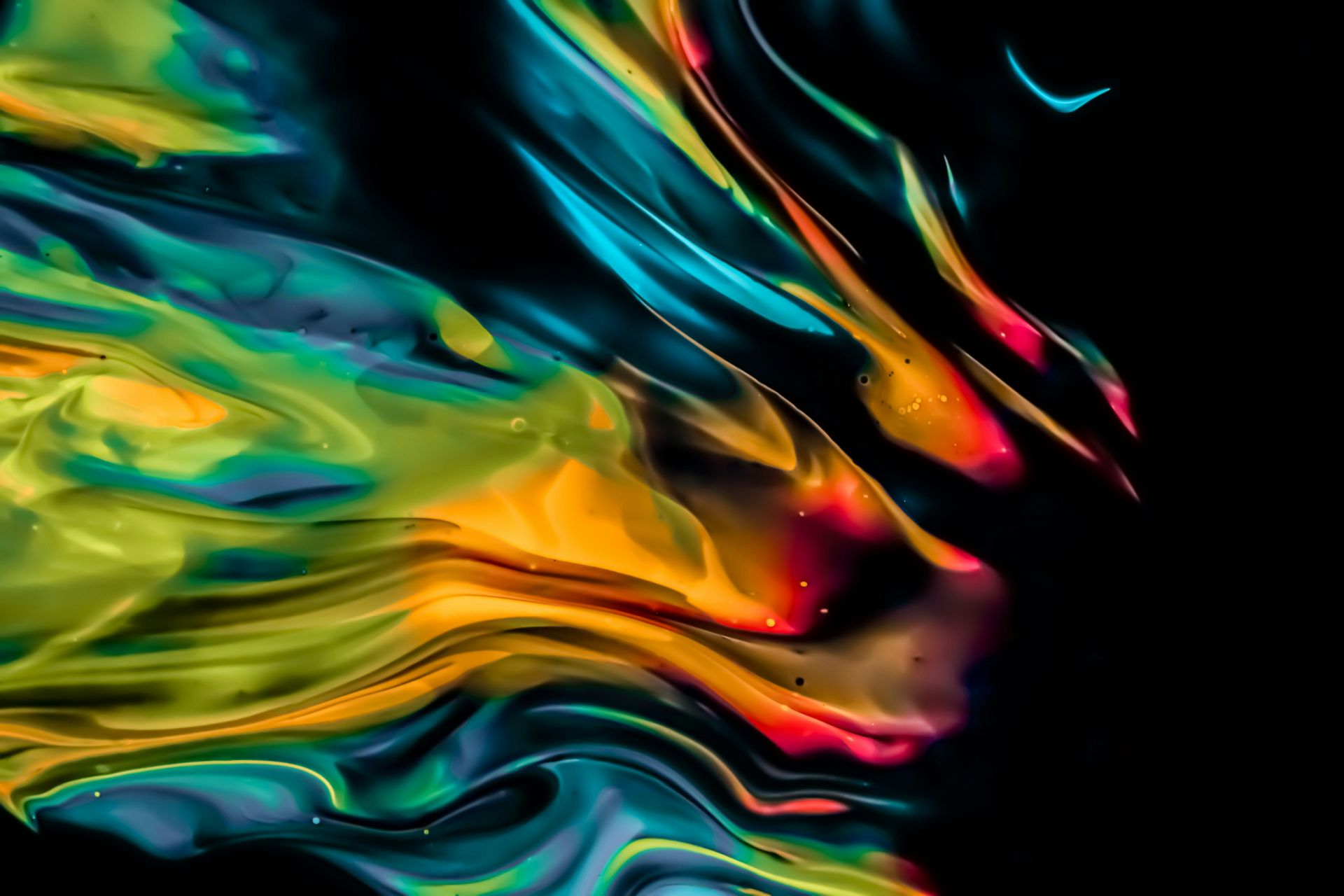 Typologie des audits fiscaux